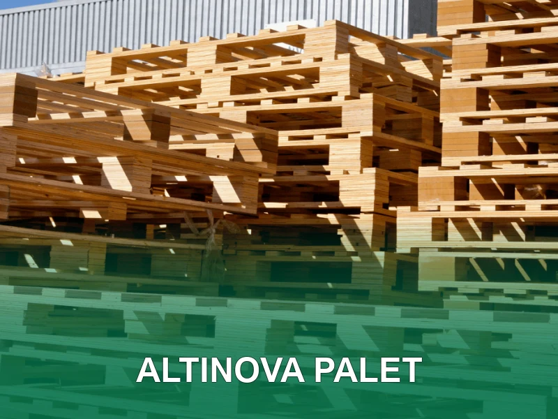 Altınova Palet Galeri 1