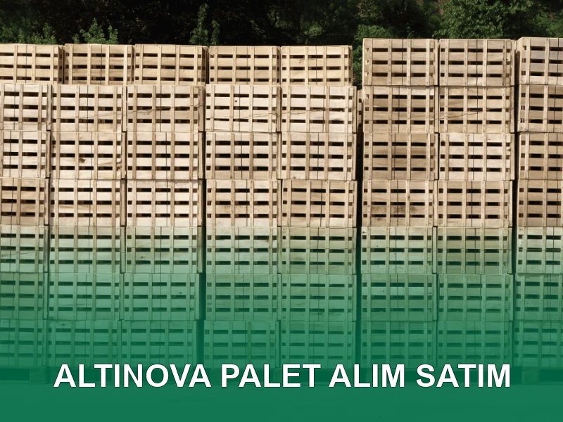 Altınova Palet Galeri 3