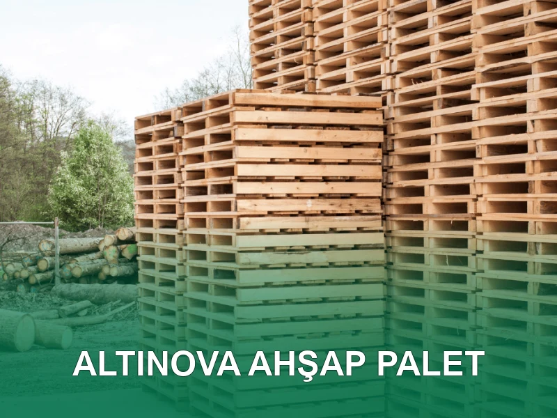 Altınova Palet Galeri 4