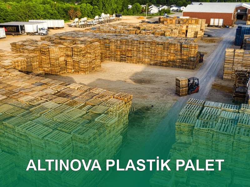 Altınova Palet Galeri 6