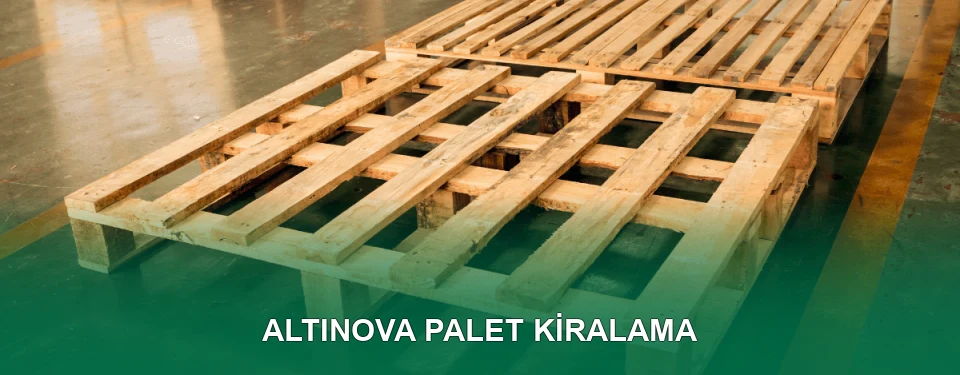 Altınova Palet Kiralama Hizmeti